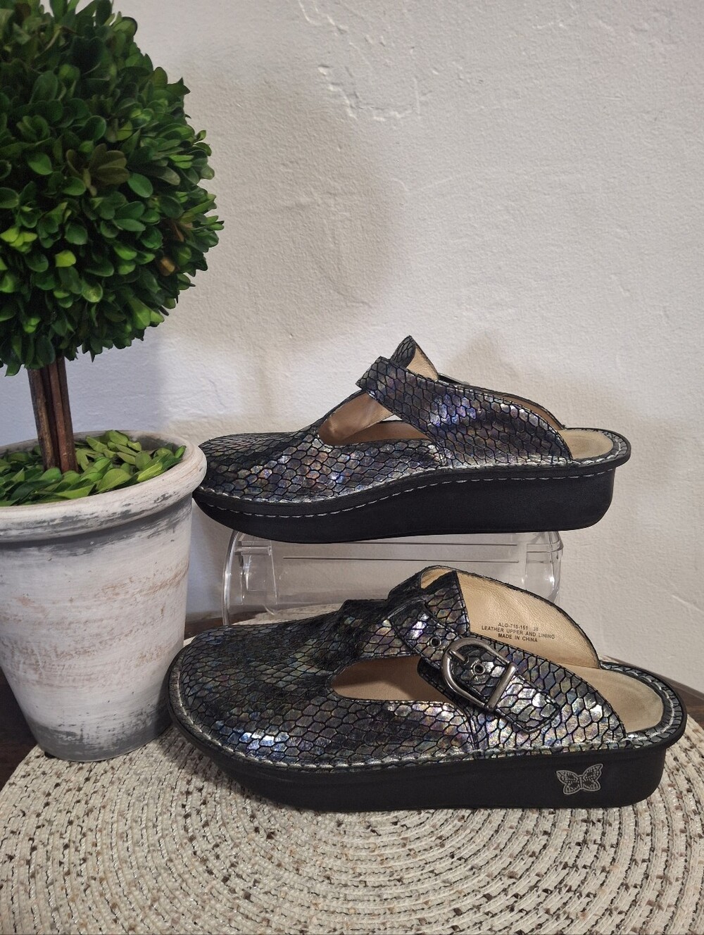 Women’s Alegria Clasic Clogs Brilliant Snake - Black Multicolor Size 38.